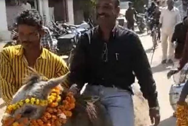 यहां गधे को कलेक्टर ऑफिस ले जाकर चांदी की प्लेट में खिलाए काजू,