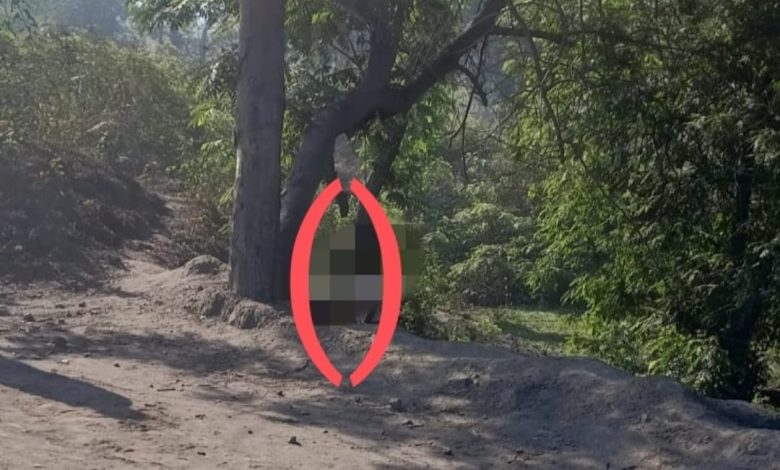 कोरबा कुसमुंडा मार्ग के किनारे पेड़ पर लटका मिला युवक का शव