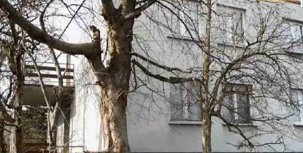 मां को दफनाने के बाद कब्र से निकाल ली लाश, 13 साल तक ऐसा काम करता रहा बेटा