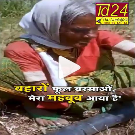 खेत में काम कर रही दादी ने गाया 'बहारों फूल बरसाओ', वीडियो हुआ वायरल