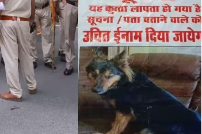 गायब हुआ IAS अधिकारी का पालतू कुत्ता, पूरे शहर में लगा दिए इनाम वाले पोस्टर