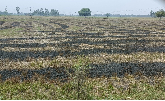 बरेली - बिशारत थाना क्षेत्र में गेहूं के अवशेष खेत में जलाने वालों पर देर से ही सही होगी कार्रवाई, SDM को भेजी गई रिपोर्ट