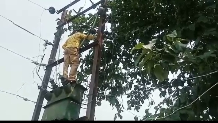 बरेली - आंवला तहसील क्षेत्र के गांव गोठा खडुआ में तार भिड़ने से हुये फाल्ट के बाद जेई विनित कुमार ने उतरवाए तार।