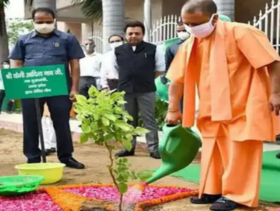 उत्तर प्रदेश को हरा-भरा बनाए रखने के लिए योगी सरकार की पहल, यूपी में रोप जायेंगे 35 करोड़ पौधे