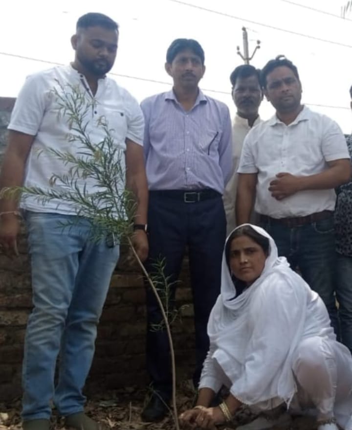 बरेली - विश्व पर्यावरण दिवस पर नगर पंचायत फतेहगंज पश्चिमी की चेयरमैन इमराना बेगम ने किया वृक्षारोपण।
