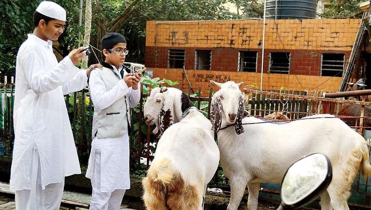 बकरीद पर क्यों दी जाती है बकरे की कुर्बानी? कैसे मीठी ईद से अलग