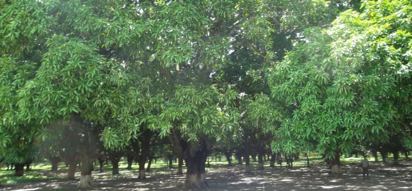 पीलीभीत में डीएम ने की निलंबन की संस्तुति, फाइल शासन में फंसी