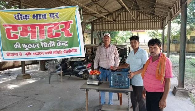 पीलीभीत में मंडी प्रशासन ने घटाए टमाटर के दाम, अब 80 रुपये किलो बिक रहा
