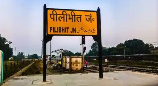 पीलीभीत के जंगल से काटकर लाई गई लकड़ी का बनाया जा रहा था फर्नीचर