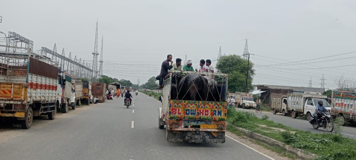 मैनपुरी:- मालवाहक वाहन सावरिया भरकर दुर्घटनाओं को दे रहे दावत ,प्रशासन मौन ।