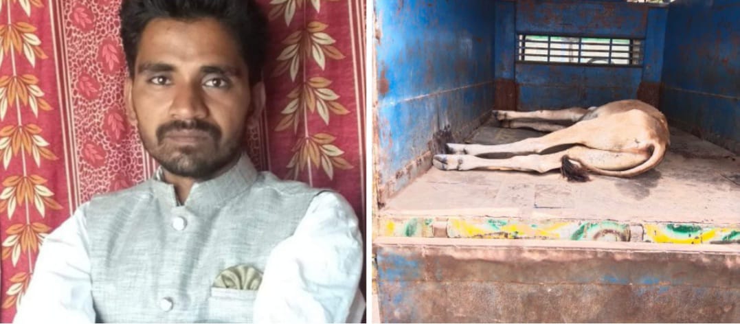 बरेली - आंवला तहसील क्षेत्र के गांव दरावनगर के ग्रामीणों ने डायल 112 की मदद से घायल गाय को पहुंचाया गौशाला।