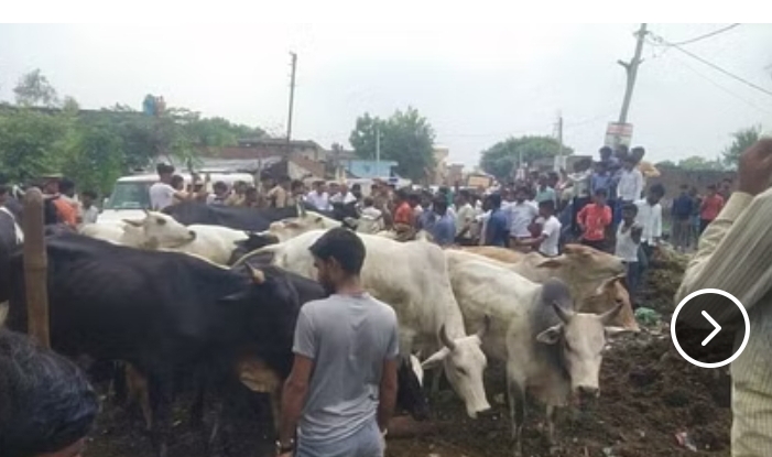 बरेली - तहसील क्षेत्र में ग्रामीणों का हंगामा सड़क पर छुट्टा पशु खड़े कर पशुधन मंत्री का रास्ता रोका, SDM आंवला से नोक झोंक।
