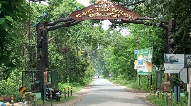 पीलीभीत में सात करोड़ से होगी 25 किमी जंगल सीमा में जाल फेंसिंग