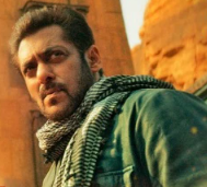 'जब तक टाइगर मरा नहीं, तब तक टाइगर हारा नहीं': सलमान खान