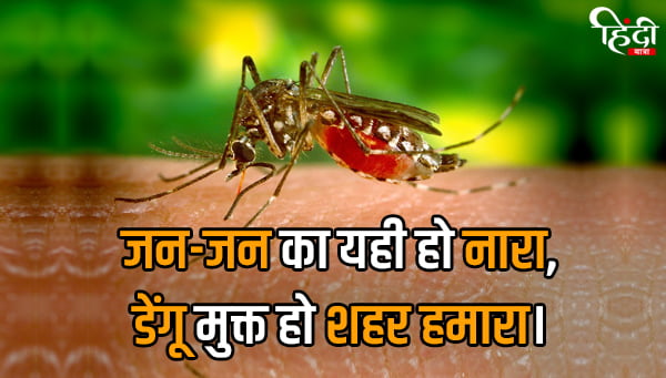 प्रयागराज: डेंगू बुखार बहुत तेजी से फैल रहा है