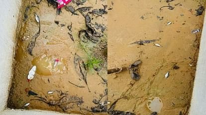 मैनपुरी में बारिश के साथ आसमान से बरसने लगीं मछलियां, दृश्य देखकर लोगों की लगी भीड़
