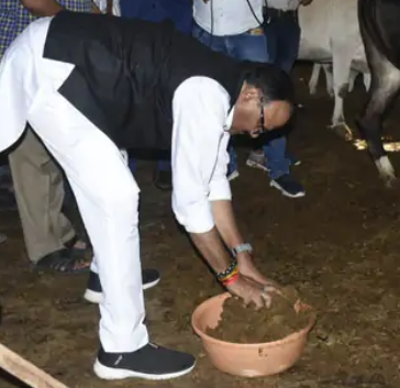 मॉल के गौशाला में जाकर सफाई अभियान में डिप्टी सीएम बृजेश पाठक भाग लिया, साफ़ किया गोबर