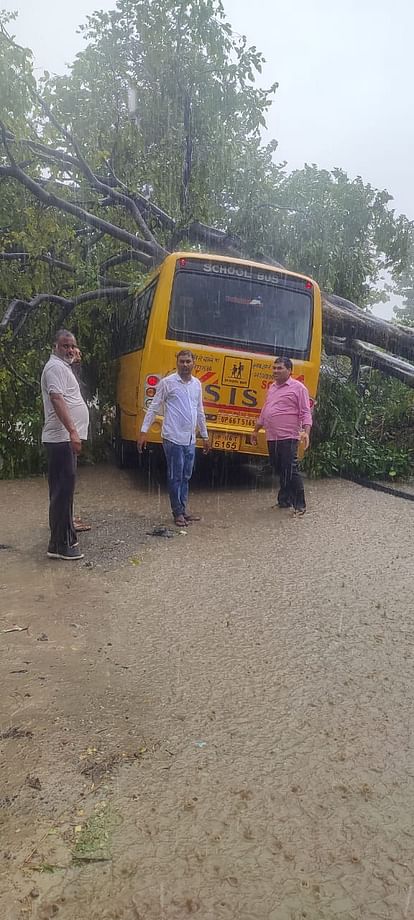 पीलीभीत में आंधी से पेड़ उखड़कर स्कूल बस पर गिरा, मची चीख-पुकार, बाल-बाल बचे बच्चे और शिक्षक
