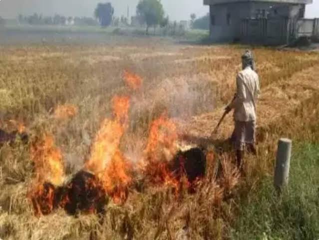 पराली जलाने में चौथे नंबर पर शाहजहांपुर, तीसरे पर पीलीभीत