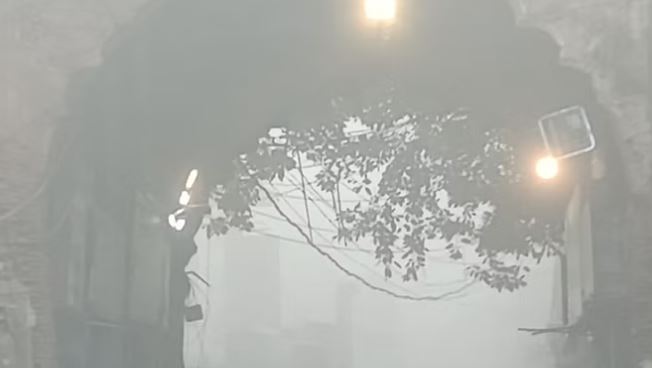 पीलीभीत में कोहरे की चादर में लिपटी तराई, पारा पांच डिग्री से नीचे लुढ़का