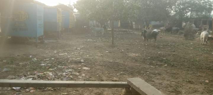 हरदोई : रामपुर बाजार में गंदगी से हो रहा लोगों का बुरा हाल पनप रहे कीड़े मकोड़े लोग हो रहे बीमार प्रधान नहीं दे रहे ध्यान
