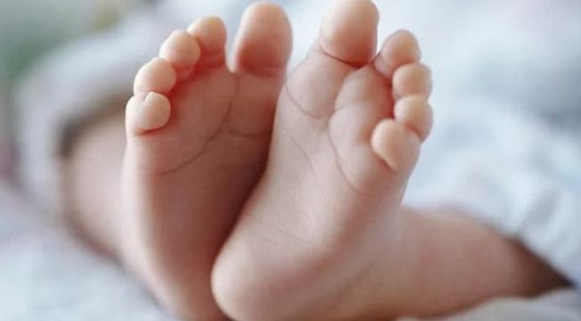 मैनपुरी के खेत में पड़ा मिला बच्चे का भ्रूण, पुलिस कर रही जांच; ग्रामीण बोले- कोई यहां फेंक गया