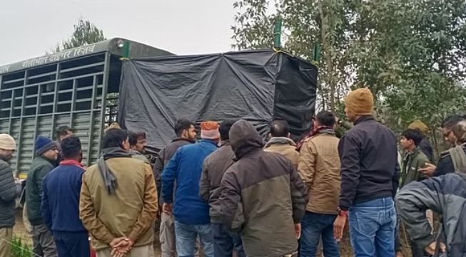 पीलीभीत में बकरे के लालच में पिंजरे में फंस गई बाघिन