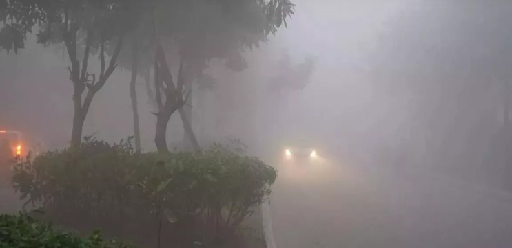 बारिश की संभावना, पश्चिमी विक्षोभ का यूपी में पड़ेगा असर; पांच फरवरी तक ऐसा रहेगा मौसम