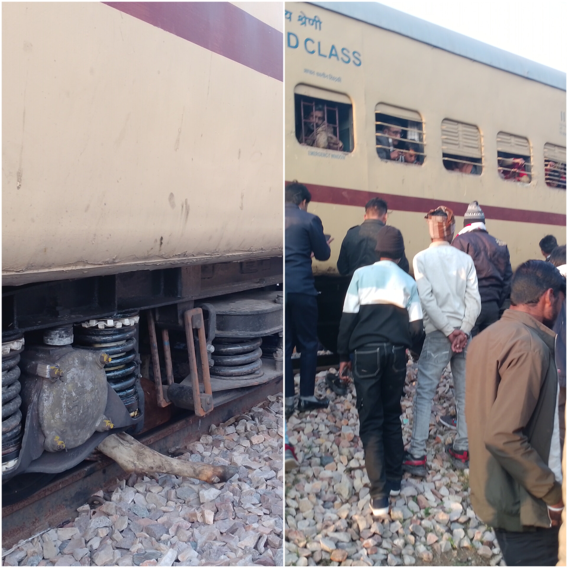 मैनपुरी के मौनपुरा गांव पर फर्रुखाबाद टूंडला पैसेंजर से टकराई गाय, बचा हादसा