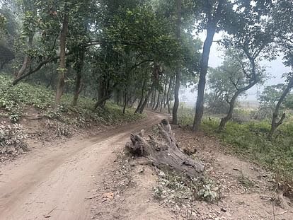 पीलीभीत में सप्तसरोवर जाने वाला मार्ग बदहाल, सैलानी परेशान
