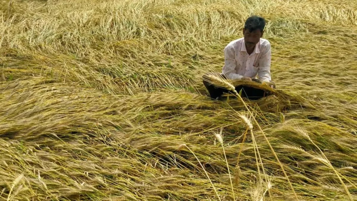 पीलीभीत : पूर्व जिला पंचायत अध्यक्ष ने अग्नि पीड़ित किसानों से की मुलाकात