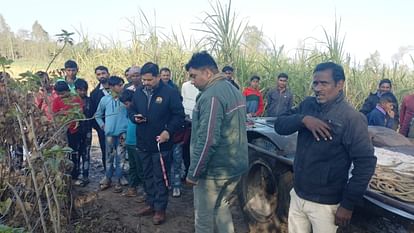 पीलीभीत में जंगल से बाहर आकर बाघ ने किया सांड़ का शिकार, ग्रामीणों में दहशत