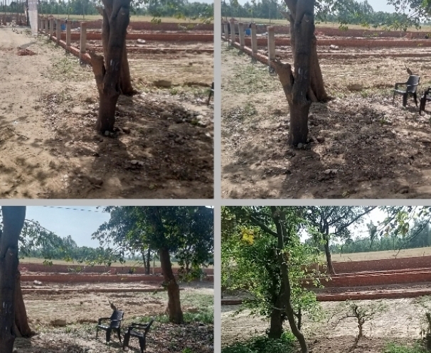 बरेली - पीडब्ल्यूडी की भूमि पर अवैध कब्जा कर बना लिए प्लाट भू-माफिया की गई शिकायत।