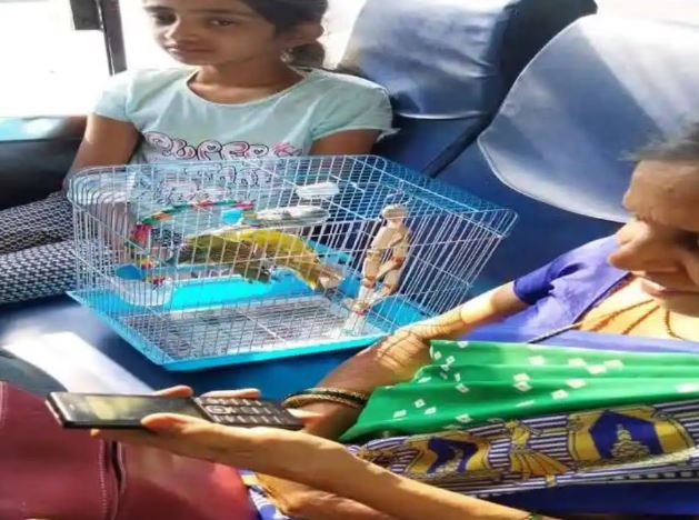 गजब: बस कंडक्टर ने वसूल लिया पैसेंजर के साथ मौजूद तोतों का किराया