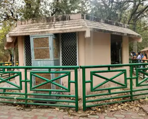 लखनऊ में गर्मी के कारण जू के जानवरों के लिए भी इंतजाम बदले गए हैं