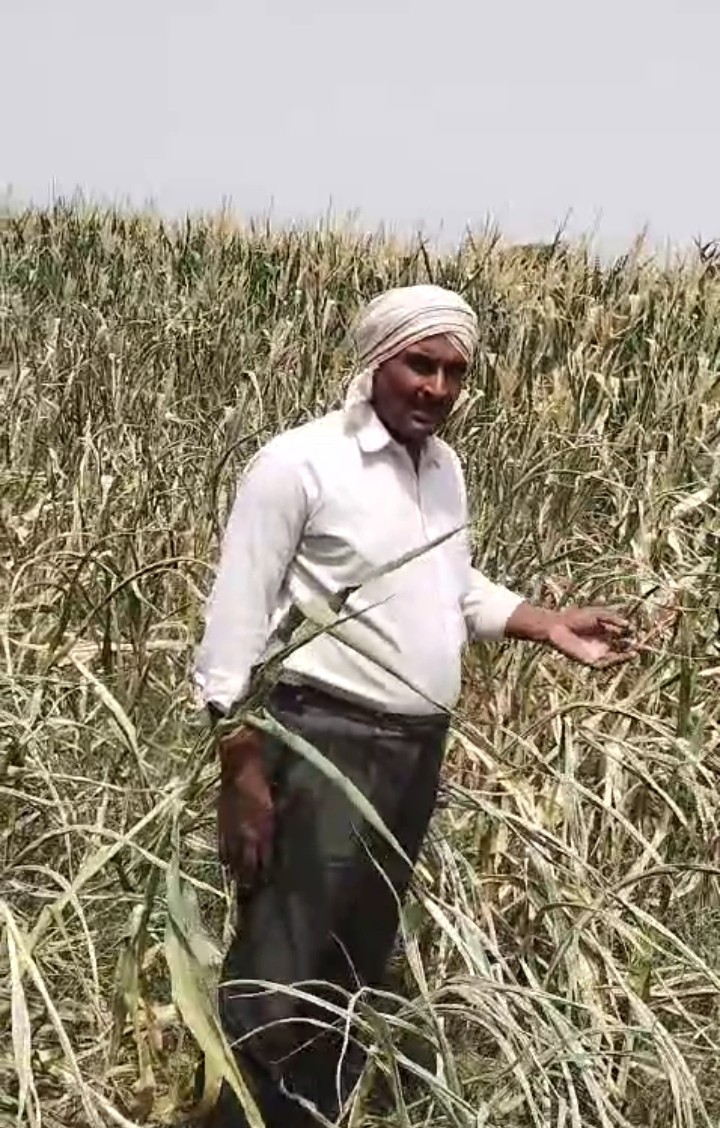 एटा: मुख्यमंत्री के निर्देश का नहीं हो रहा पालन?