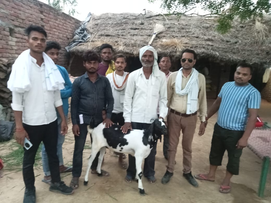 इटावा में बकरे के बदन पर लिखा देखा मोहम्मद अल्लाह और चांद भी नजर आया