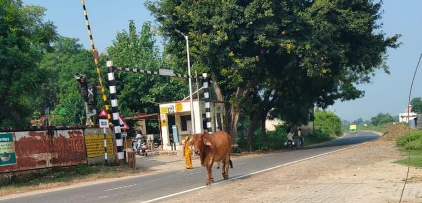 कन्नौज:जन सुनवाई का फर्जी निस्तारण कर रहे अधिकारी!
