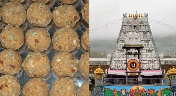 तिरुपति लड्डू में मिली जानवरों की चर्बी, अब उठने लगीं विरोध में आवाजें
