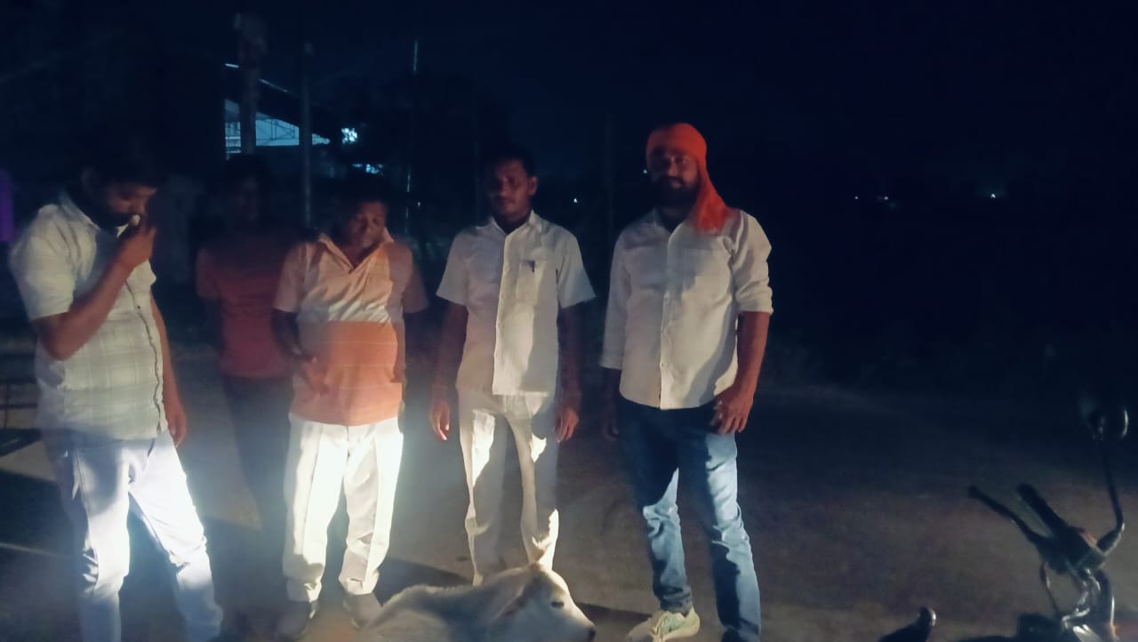कन्नौज : असमर्थ पड़े गोवंश को उपचार करवा कर भिजवाया गौशाला ?