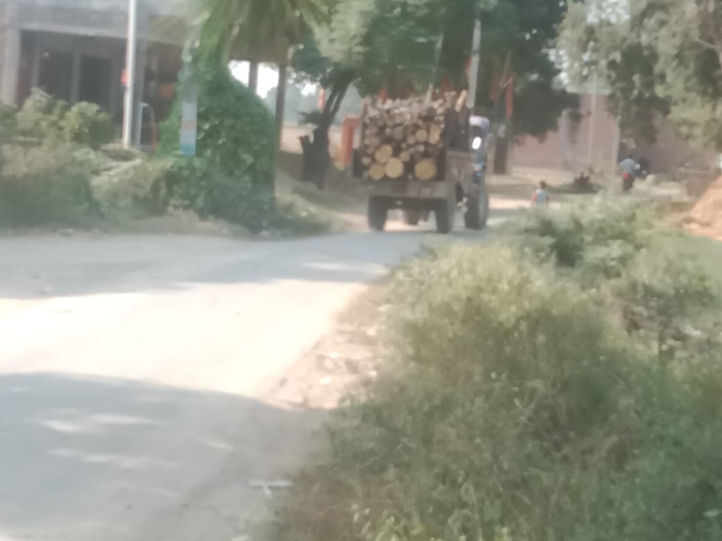 कन्नौज : हरि  लकड़ी का अवैध कटान जारी , लकड़ी लाधकर फर्राटा भरते ट्रैक्टर ?