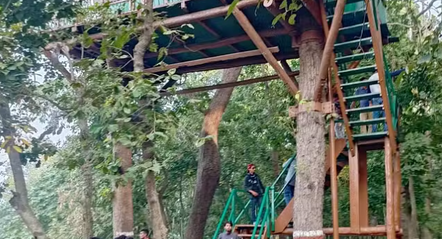 पीलीभीत : 200 सैलानियों ने जंगल सफारी की सैर कर प्राकृतिक सुंदरता का आनंद लिया।