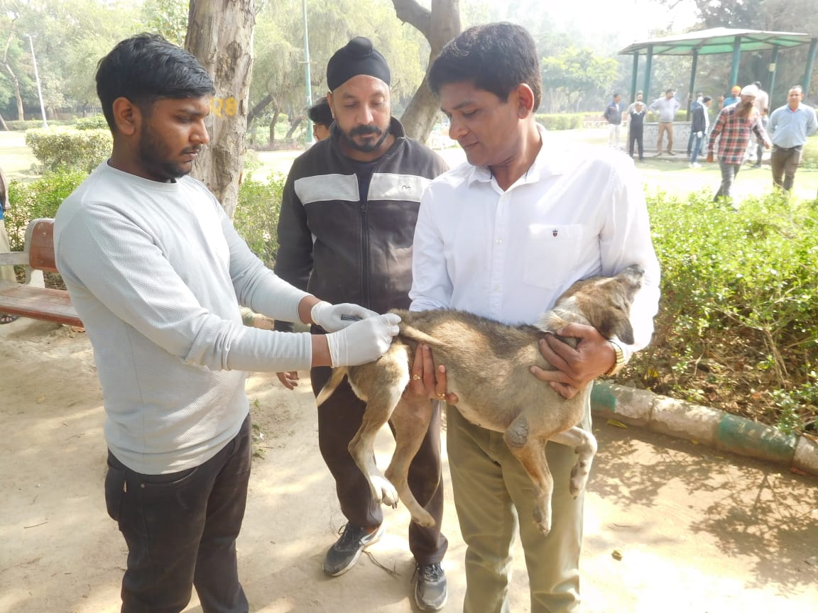 दिल्ली :रेबीज बीमारी के विरुद्ध अभियान के तहत कैंप का आयोजन