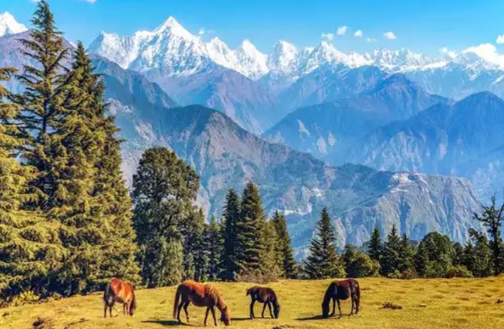 मुनस्यारी का सफर विकाश मुसाफिर के साथ