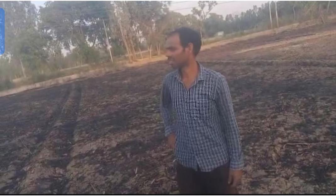 फर्रुखाबाद :एचटी लाइन की चिंगारी से सात बीघा गेहूं की फसल राख