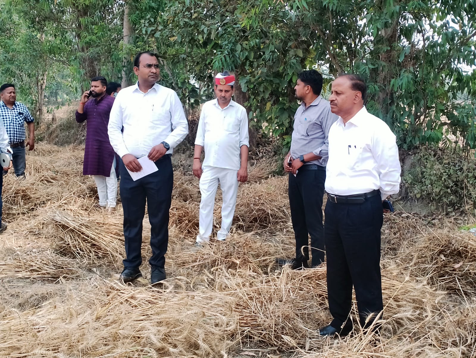 पीलीभीत : विकासखण्ड मरौरी के ग्राम पंचायत सैदपुर में गेहूं की फसल कटाई की स्थिति का जायजा लिया।