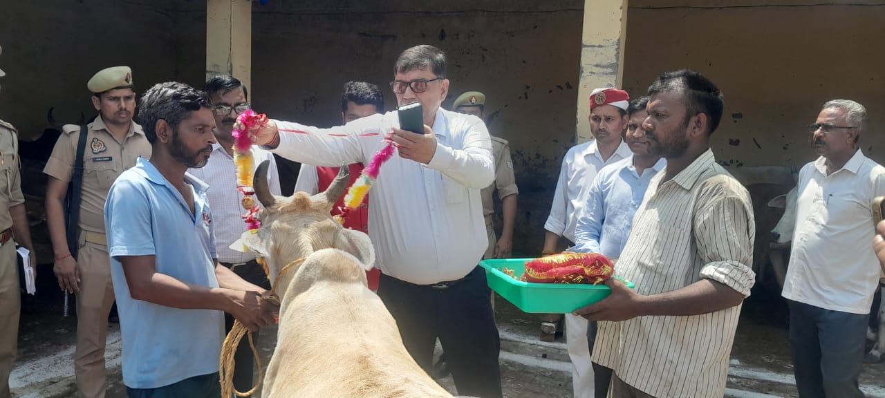 पीलीभीत : शासन से नामित नोडल अधिकारी ने नगीपुर औलख एवं पृथ्वीपुर गौशाला का किया औचक निरीक्षण।