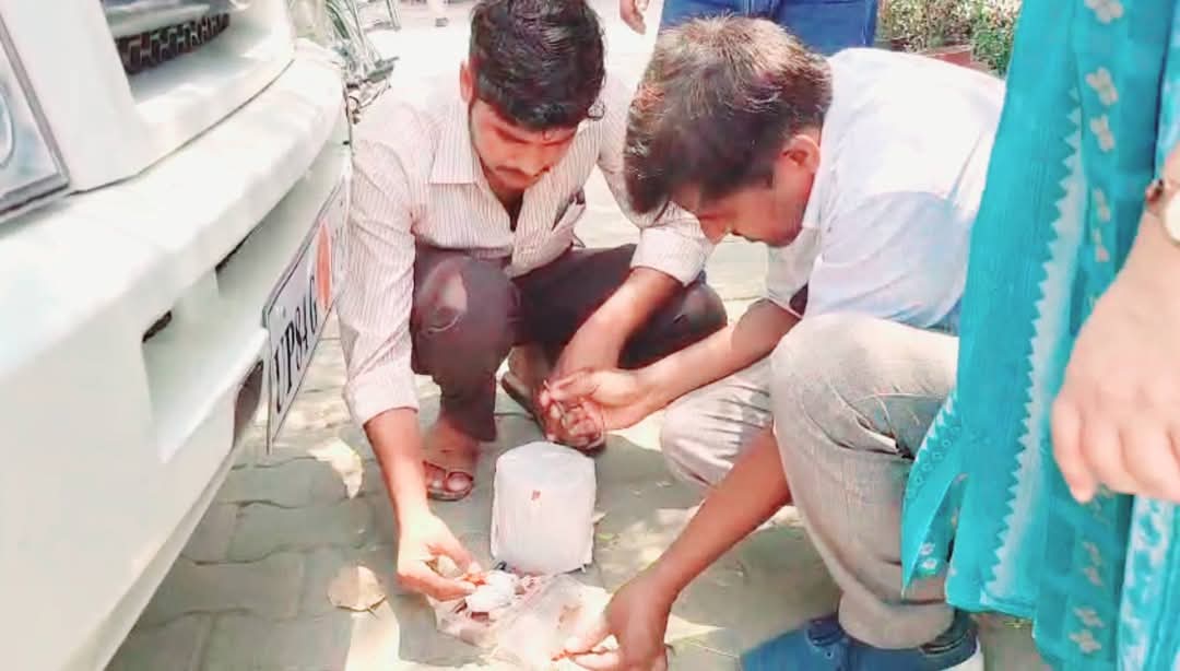 मैनपुरी में भारी तादात में मांस बरामद ?