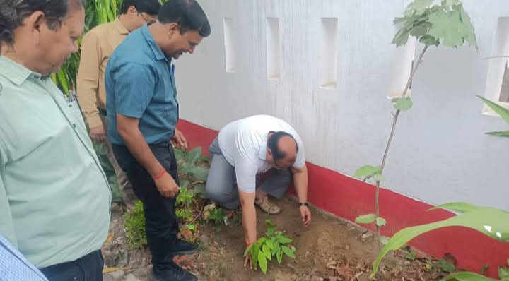 लखीमपुर खीरी : विश्व पर्यावरण दिवस पर मुख्य चिकित्सा अधिकारी ने कार्यालय परिसर में पौधरोपण कर पर्यावरण का संदेश दिया