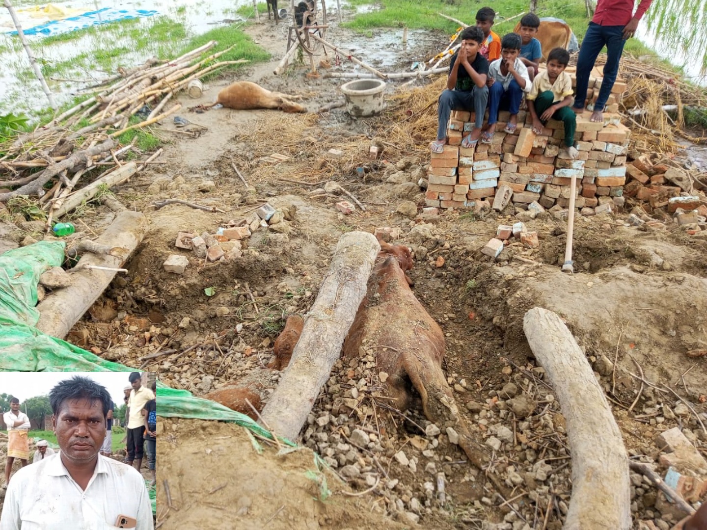 फर्रुखाबाद:ग्राम नवादा में कच्चा मकान गिरने से तीन मवेशियों की मौत, किसान को लाखों का नुकसान।